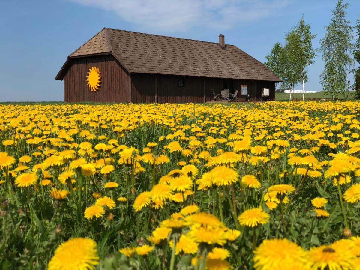 Voose Paeikesekodu Seminari- Ja Puhkekeskus Villa Bagian luar foto